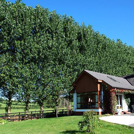 The Bungalow Farmhouse Clomantagh ภายนอก รูปภาพ