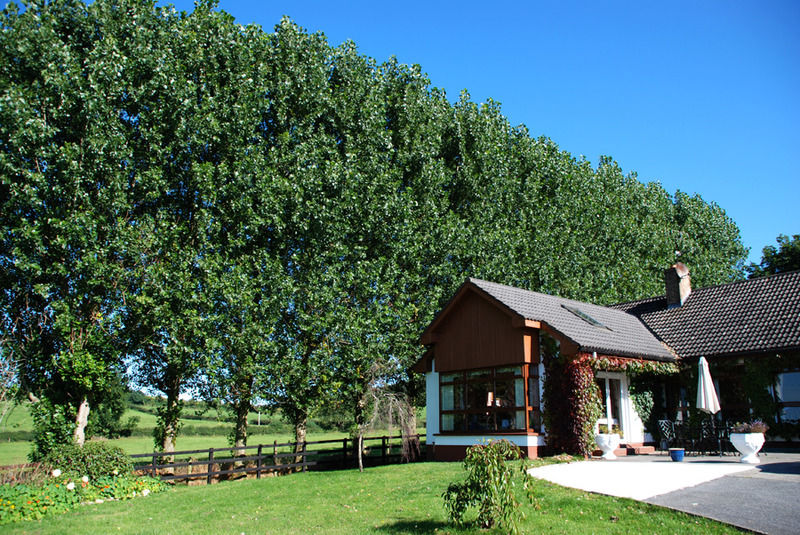 The Bungalow Farmhouse Clomantagh ภายนอก รูปภาพ